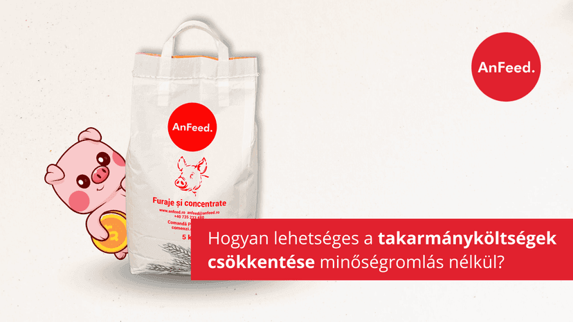 Hogyan lehetséges a takarmányköltségek csökkentése minőségromlás nélkül?
