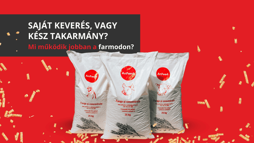 Érdemes saját takarmánykeveréket készíteni, vagy inkább kész takarmányt vásárolni?