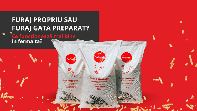 Care e mai rentabil: furaj propriu sau cumpărat?