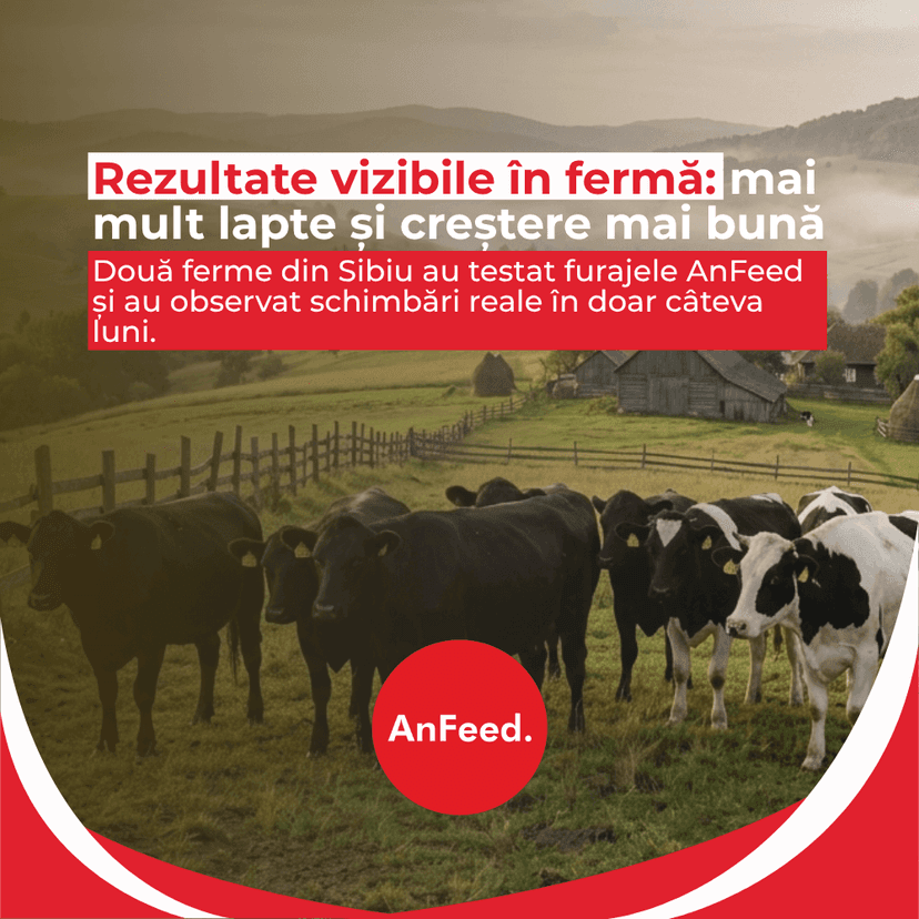 Cum au obținut doi fermieri din județul Sibiu rezultate măsurabile cu furajele AnFeed.